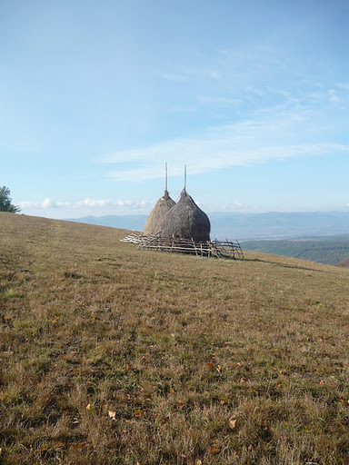 20111015008 Harasztosi magura